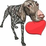 Profile Picture of Robin Joslyn Herrmann (@rrobinh) on Instagram