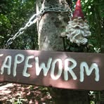 Profile Picture of Peter Sherrill (@peter.sherrill.71) on Facebook