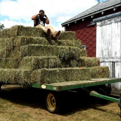 Profile Picture of Mountain Lion (@james74walsh) on Twitter