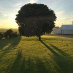Profile Picture of Nicole N Jason Sowers (@prayers.from.the.farm) on Instagram