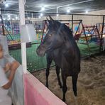 Profile Picture of Ahmed Ismael (@Ahmed-Ismael) on Facebook