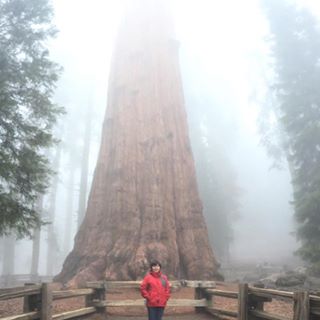 Profile Picture of Tao Zhong (@tao.zhong.712) on Facebook