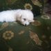 Profile Picture of Guama (@guama.guama.90) on Facebook