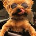 Profile Picture of Ralph Hendrix (@ralph.hendrix.121) on Facebook