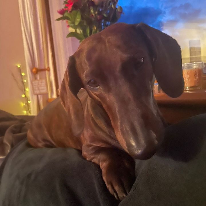Profile Picture of kellsanderic (@kellsanderic) on Tiktok