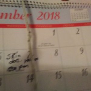 Profile Picture of Albert Gordon (@AlbertG81651516) on Twitter