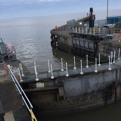 Profile Picture of CARL JORGENSEN/yogi (@YOGT30) on Twitter