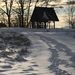 Profile Picture of Andy Victor (@andyv0081) on Pinterest