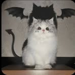 Profile Picture of Madison Haney (@madison.haney.365160) on Facebook