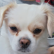 Profile Picture of Vincent Mccormick (@vincentmccormick8744) on Youtube