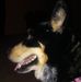 Profile Picture of Preston Murdock (@preston.murdock.96) on Facebook