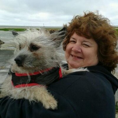 Profile Picture of Cathy Gibbs (@@cathym654) on Twitter