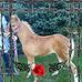 Profile Picture of Keith Hostetler (@keith.hostetler.5205) on Facebook