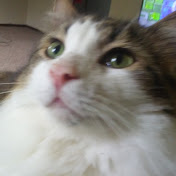 Profile Picture of Mark Jagade (@markjagade6735) on Youtube