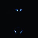 Profile Picture of Joel Steiner (@steiner_1000) on Instagram