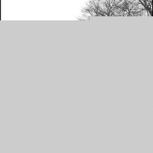 Profile Picture of John Durman (@421561150) on Myspace