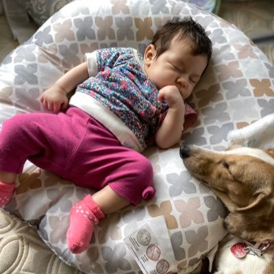 Profile Picture of Jose Milanes (@josemilanes18) on Twitter