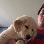 Profile Picture of Jerry (@jerry_berkowitz) on Instagram