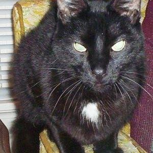 Profile Picture of Maria Montano (@virgo_1860651) on Myspace