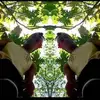 Profile Picture of Mendela Peter (@user90550902747092) on Tiktok