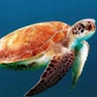 Profile Picture of Gabriella Terry (@gabriella-terry-9) on Quora