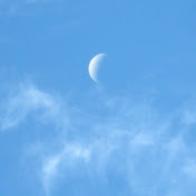 Profile Picture of Caleb Hubbell (@calebhubbell2290) on Youtube