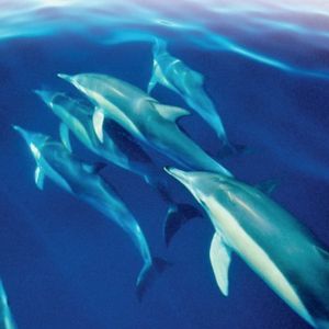 Profile Picture of dannyHolly (@dannyholly6) on Tiktok