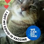 Profile Picture of Jeff Macioce (@jeff.macioce.1) on Facebook