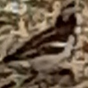 Profile Picture of Miguel Angel Pena (@miguelangelpena795) on Youtube