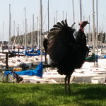 Profile Picture of Philip Freeman (@philip_freeman) on Flickr