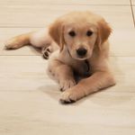 Profile Picture of Bryan Gerber (@brother.b.mc) on Instagram