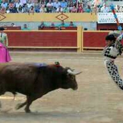 Profile Picture of David Blazquez (@DavidBlazquezP) on Twitter