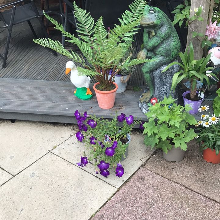 Profile Picture of David Stanier (@user3682816649281) on Tiktok