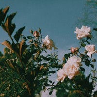 Profile Picture of Hodo Mohamed (@hodo-mohamed-3) on Quora