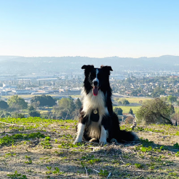 Profile Picture of Lin Liu (@liulin876) on Poshmark