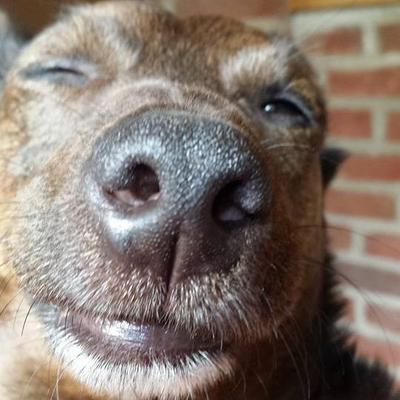 Profile Picture of Kathryn Wright (@marge7cantona) on Twitter