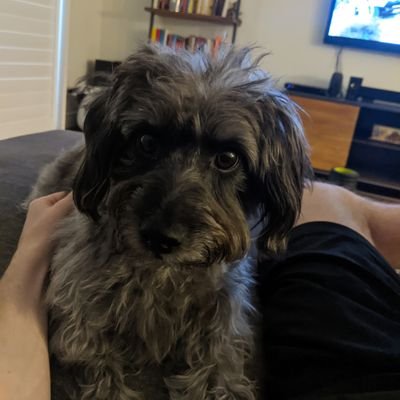 Matt Southard - Twitter Profile Picture of Matt Southard (@matthewsouthard) on Twitter