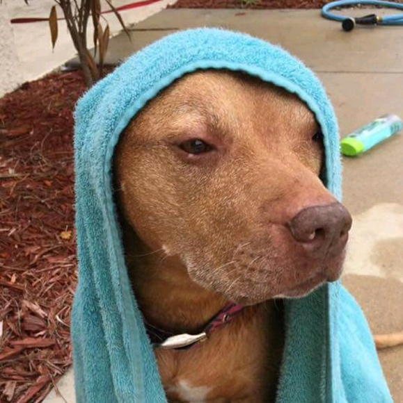 Profile Picture of Heather Solero (@hsolero) on Poshmark