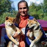 Profile Picture of Elena Kavsadze KENLINE KENNEL (@shiba_kenline) on Instagram