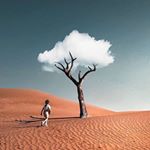 Linda_____🌻 - Instagram Profile Picture of Linda_____🌻 (@linda_____robert) on Instagram