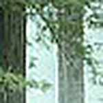 Profile Picture of Larry Schurr (@lsure) on Flickr