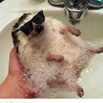 DANIEL STUDSGAARD - Instagram Profile Picture of DANIEL STUDSGAARD (@daniel_studsgaard) on Instagram