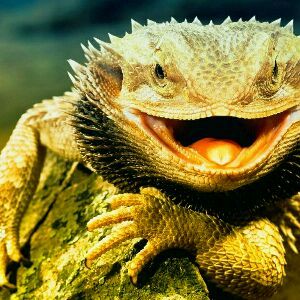 Profile Picture of Clayton Mckee (@claytonmckee2) on Tiktok