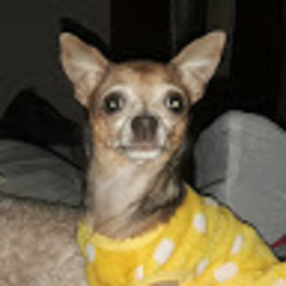 Profile Picture of Shirl Struck (@shirlsshop) on Poshmark