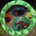 Profile Picture of Kaini Kaini (@Kaini-Kaini) on Facebook