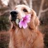Profile Picture of Athena Andrade115 (@@athenaandrade1) on Tiktok