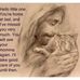 Profile Picture of Marilyn Jewett (@AnimalLover1964) on Facebook