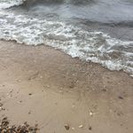 Profile Picture of Marcia Jacobson-Tomie (@jolene.jt) on Instagram