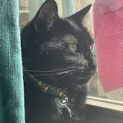 Profile Picture of Lisa Matthews (@lbutterflyechevarria8029) on Youtube