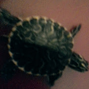 Profile Picture of Bradly Johnson (@bradlyjohnson8033) on Youtube